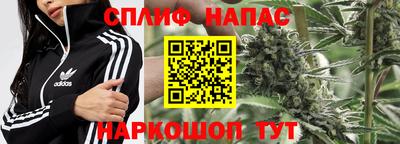 трава Будённовск