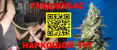 трава Будённовск